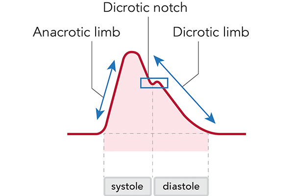 Graphique de la technologie d'algorithme PulseCO 